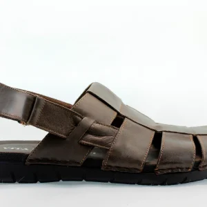 VITA UNICA 85801 MARRON 886643